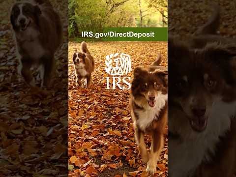 Get Direct Deposit in one, two, three
