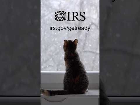 Cozy up to IRS tools and resources