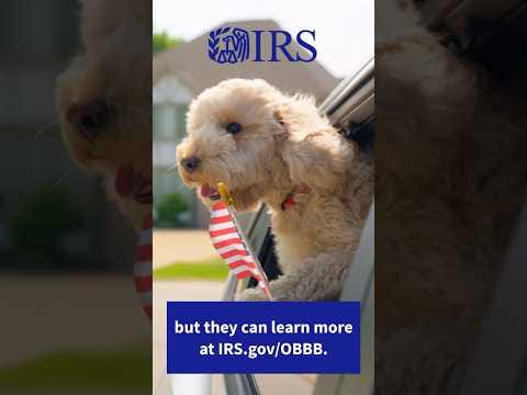 A cruisin’ tax tip for new car owners